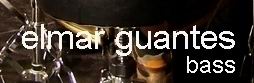 Elmar Guantes